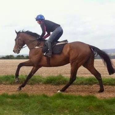 FineFilly8