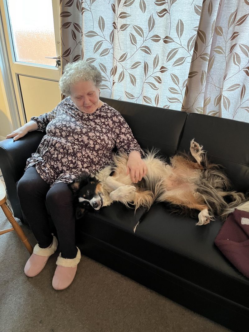 Chuckles654 Chuckles654