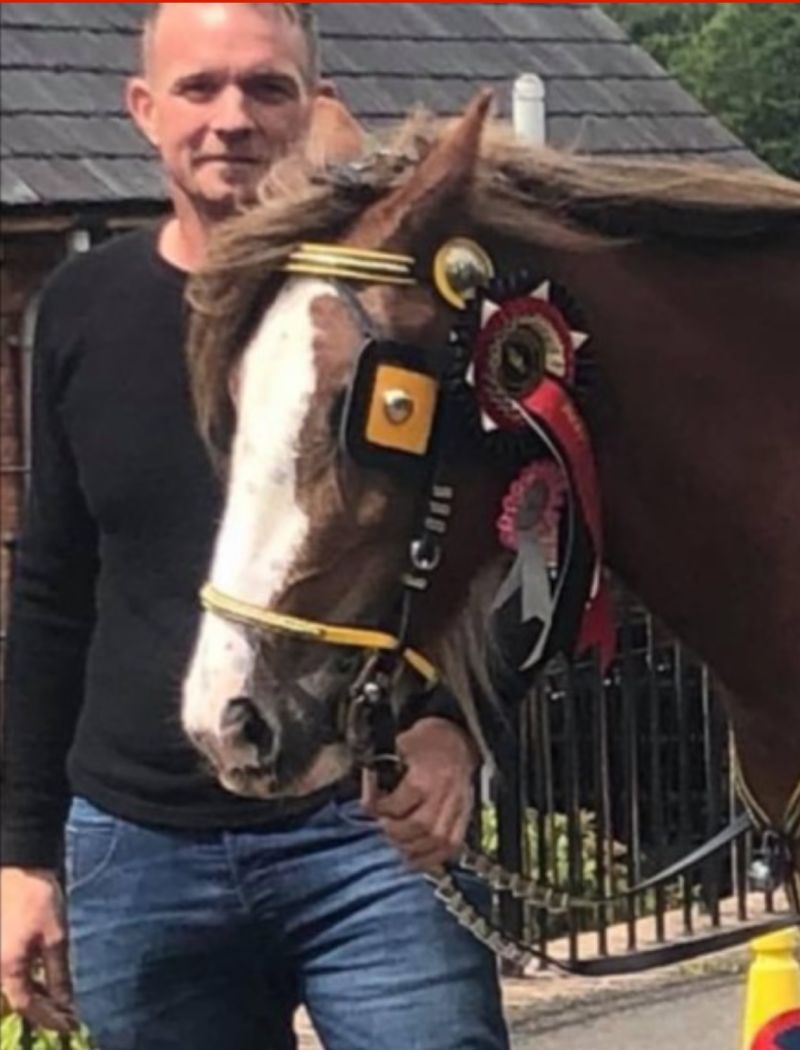Jumpinghorse